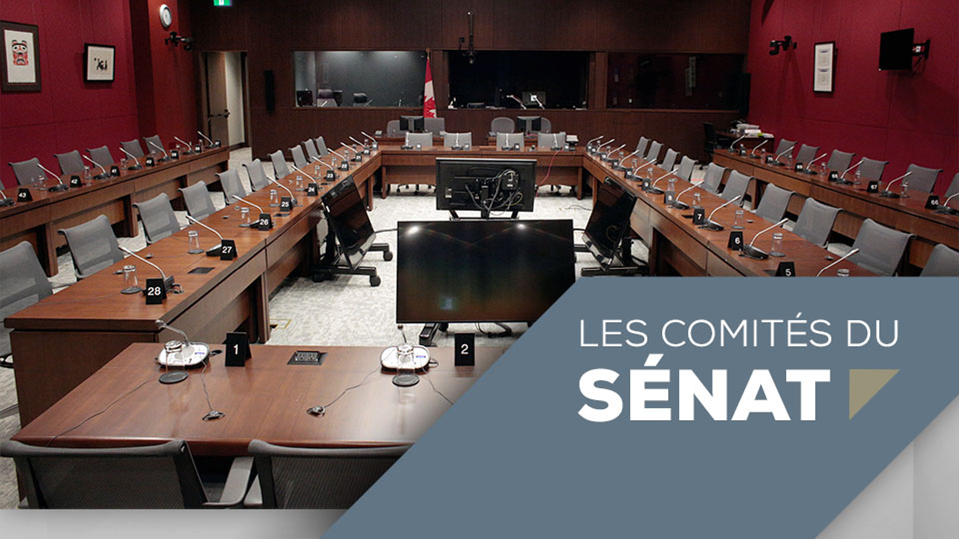 Les comités du Sénat