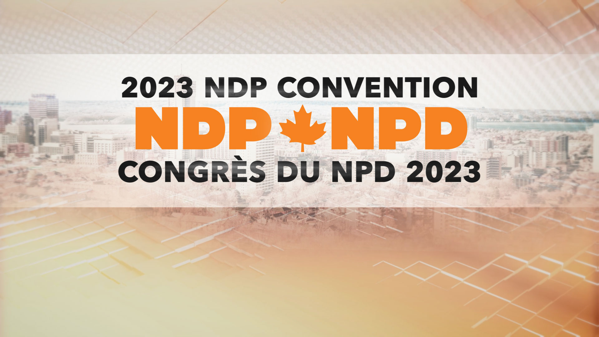 2023 NDP Convention