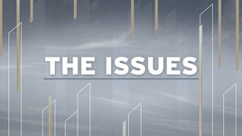 The Issues