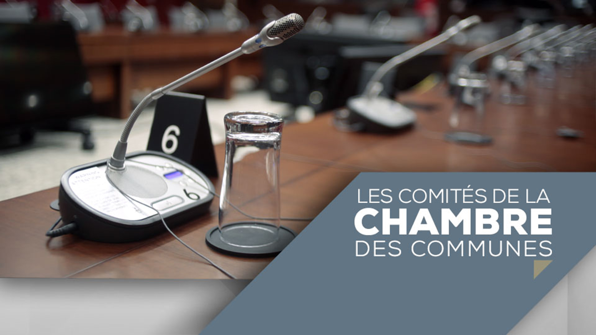Les comités de la chambre des communes